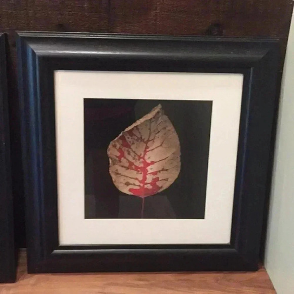 Wall Pictures-2 - Picture 3 of 8